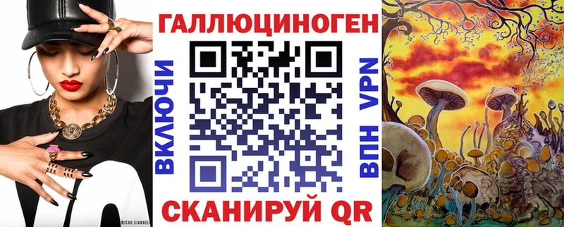 Галлюциногенные грибы Psilocybe  Нефтекумск 
